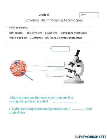 Light microscope