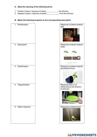 1.3 Stimuli and responses in plants