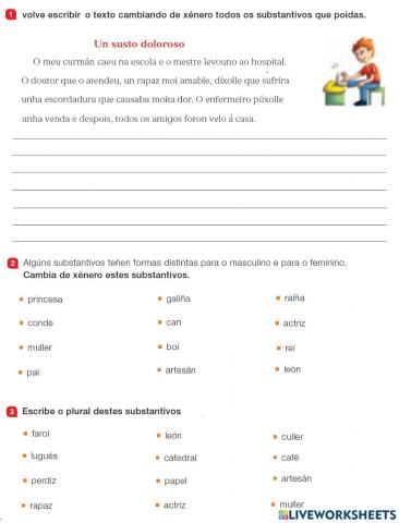 O substantivo: Xénero e Número