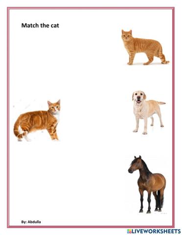 Match the cat