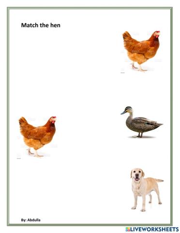 Match the hen