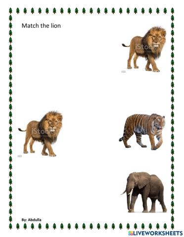 Match lion