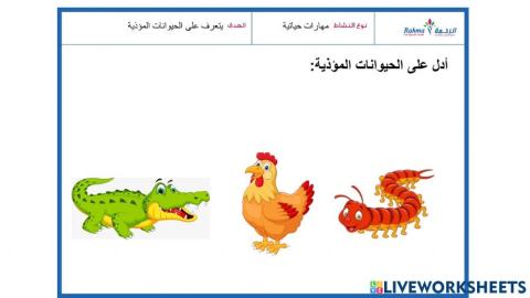 مهارات حياتية2