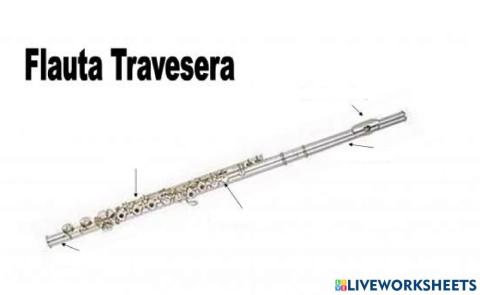 Partes de la flauta travesera