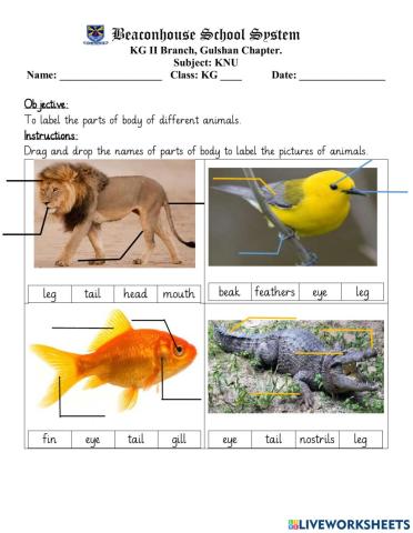 Parts of body of animals