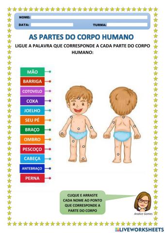 As Partes do Corpo Humano
