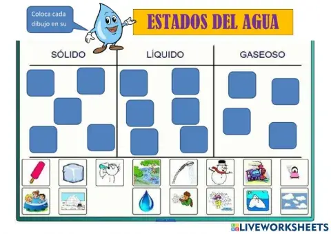 Estados del agua-1º primaria