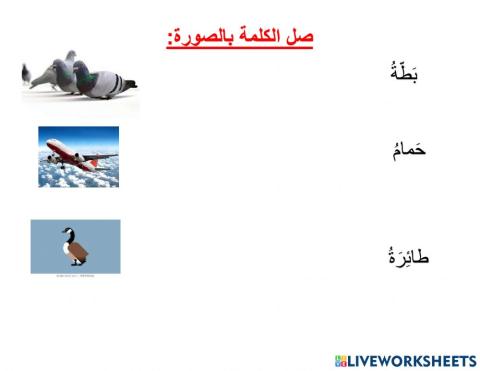 ورقة عمل فئة ج عالم الطيران