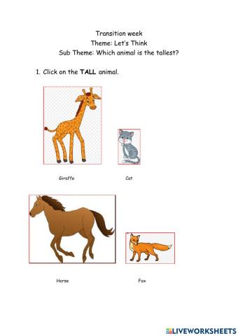 Comparison: Tall and short