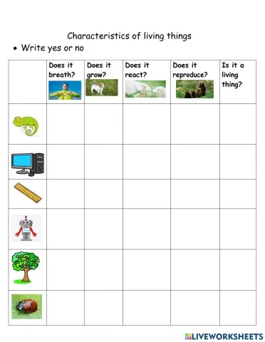 Characteristics of living thing