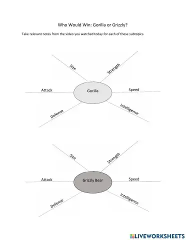 Who Would Win? Gorilla vs. Grizzly Bear Notes