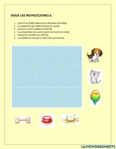 Segue las instrucciones 6