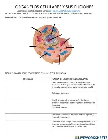 Componentes celulares
