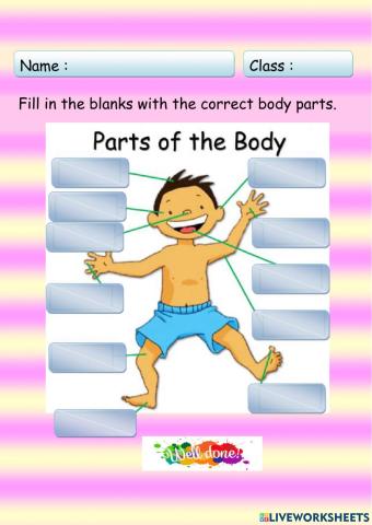 My Body Parts