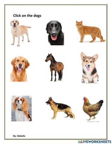Identify dogs