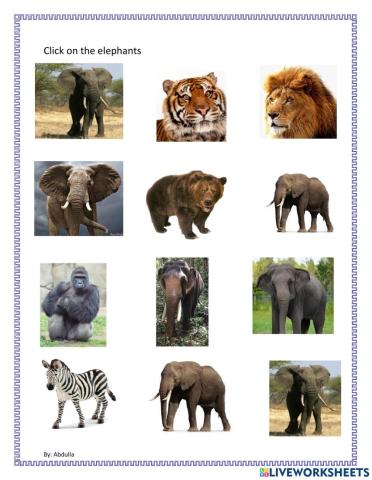 Identify elephants