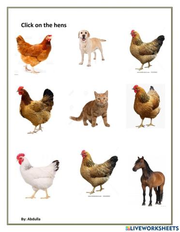 Identify hens