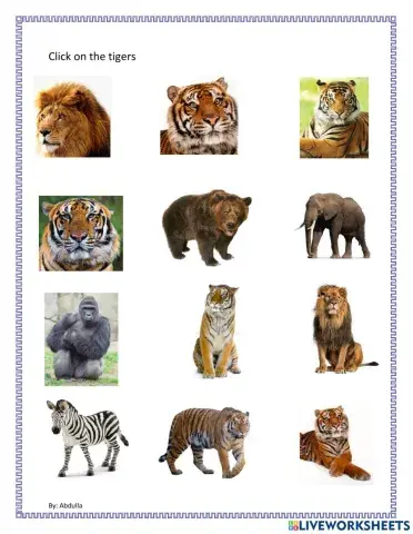 Identify tigers