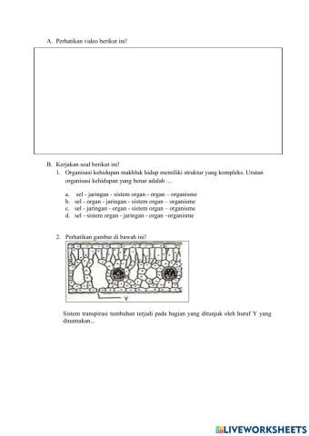 Organisasi Kehidupan