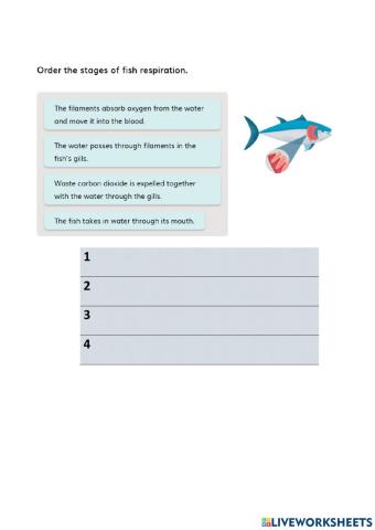 Fish + Vertebrate Review