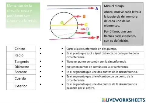 Elementos de la circunferencia y posiciones respecto a la recta