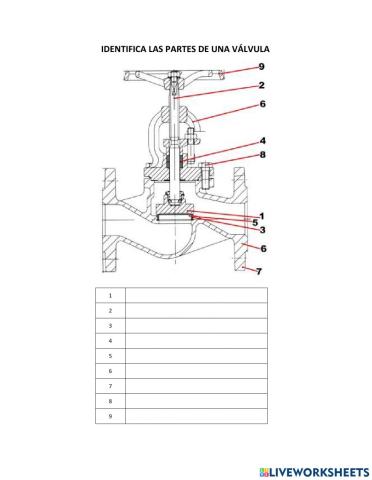 Partes de una válvula