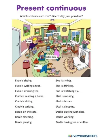 Present continuous - which sentences are true 1