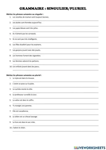 Transformations: singulier-plurier