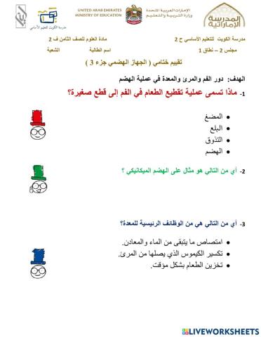 الجهاز الهضمي 3