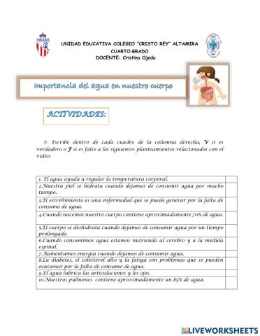 Importancia del agua en nuestro cuerpo