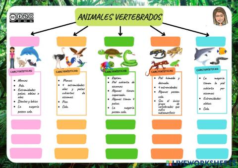 Animales Vertebradps
