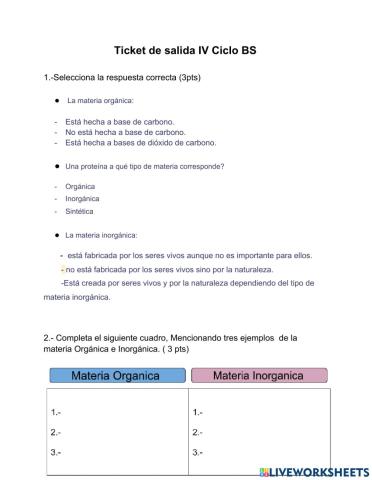 Ticket de salida IV Ciclo BS