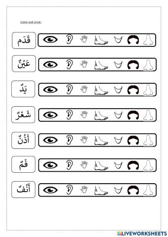 Body part in Arabic