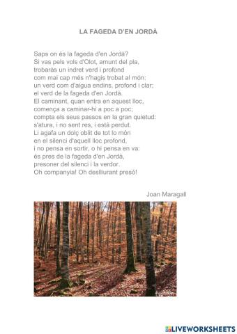 La fageda d'en Jordà