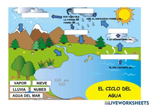 Ciclo del agua
