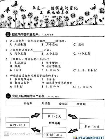 四年级体健：单元九：万花筒里的世界