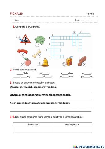 Casos da língua portuguesa: s ou ss