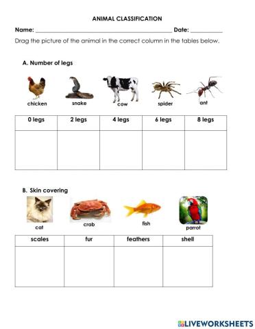 ANIMAL CLASSIFICATION Review Worksheet