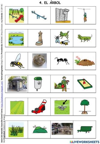 Vocabulario del árbol