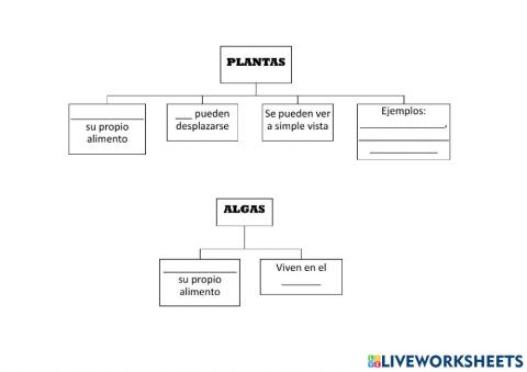Esquema plantas y algas