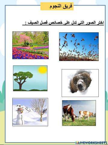 الصيف النجوم