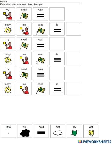 How has my seed changed