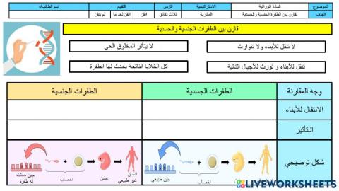 الفرق بين الطفرة الجنسية والطفرة الجسدية