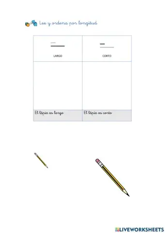 Concepto básico: longitud