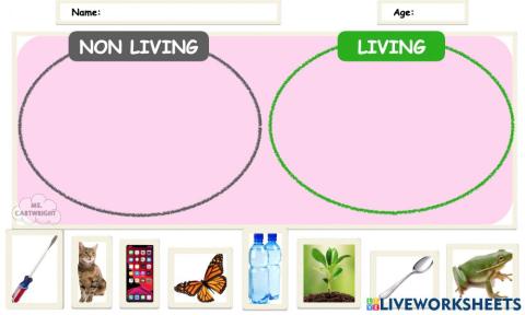 Living & Non Living