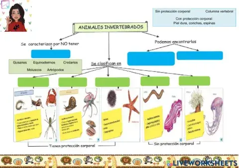 Animales invertebrados