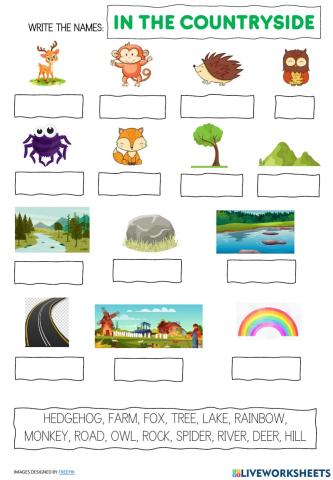 In the countryside vocabulary 2