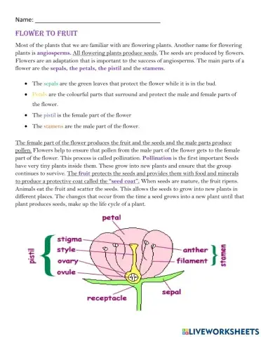 Flower to Fruit Notes