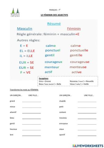 Le féminin des adjectifs