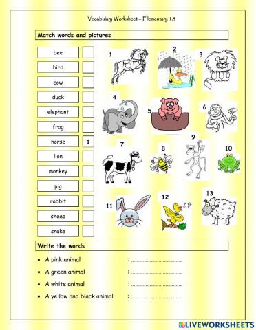 Elementary vocabulary